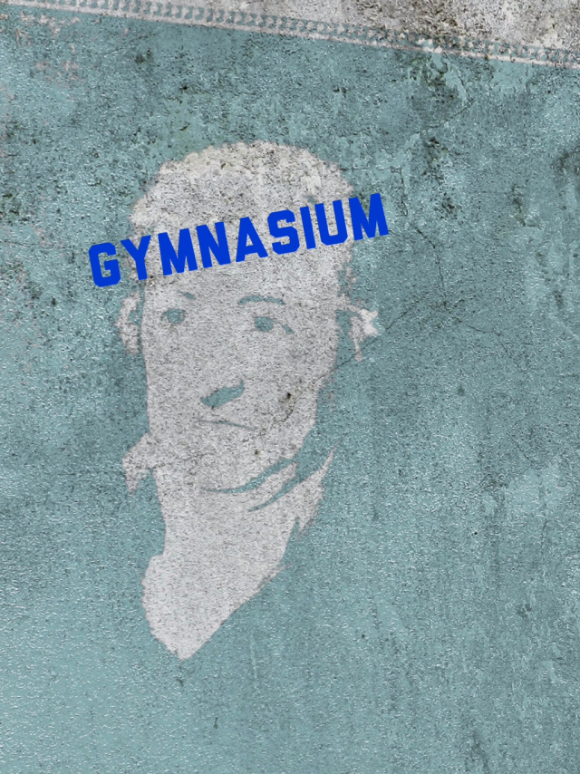 Gymnasium (Bild: ISB, Foto und Gestaltung Corinna Storm)